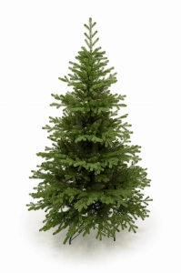 Świerk Tyrolski 170 cm PE+PVC - sztuczna choinka
