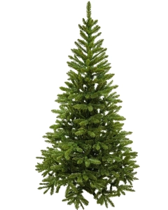 Jodła Północna 250 cm PVC - sztuczna choinka