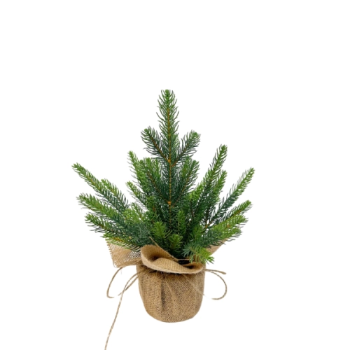 Mini Kaukaski w doniczce 35cm 100%PE  