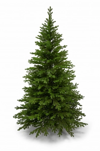 Świerk Premium 260 cm 100% PE - sztuczna choinka