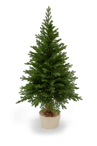 Świerk Prestige 185 cm 100%PE - sztuczna choinka na pniu