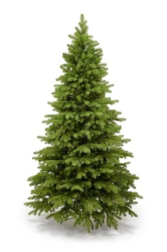 Sosna Limba 255 cm 100%PE - sztuczna choinka