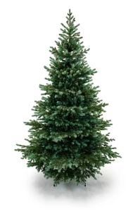 Świerk Srebrny 200cm 100% PE - sztuczna choinka