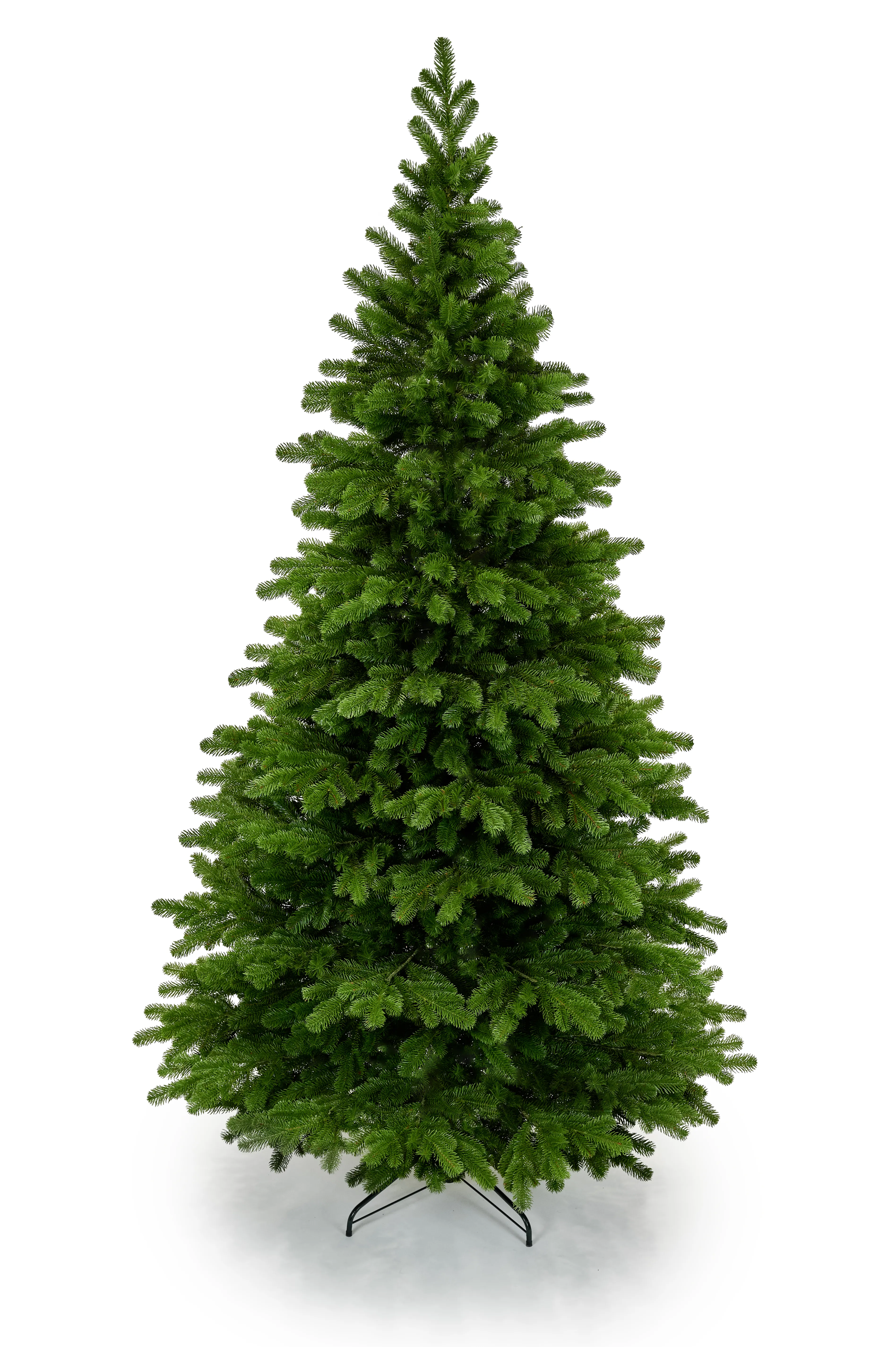 converted_image.webp