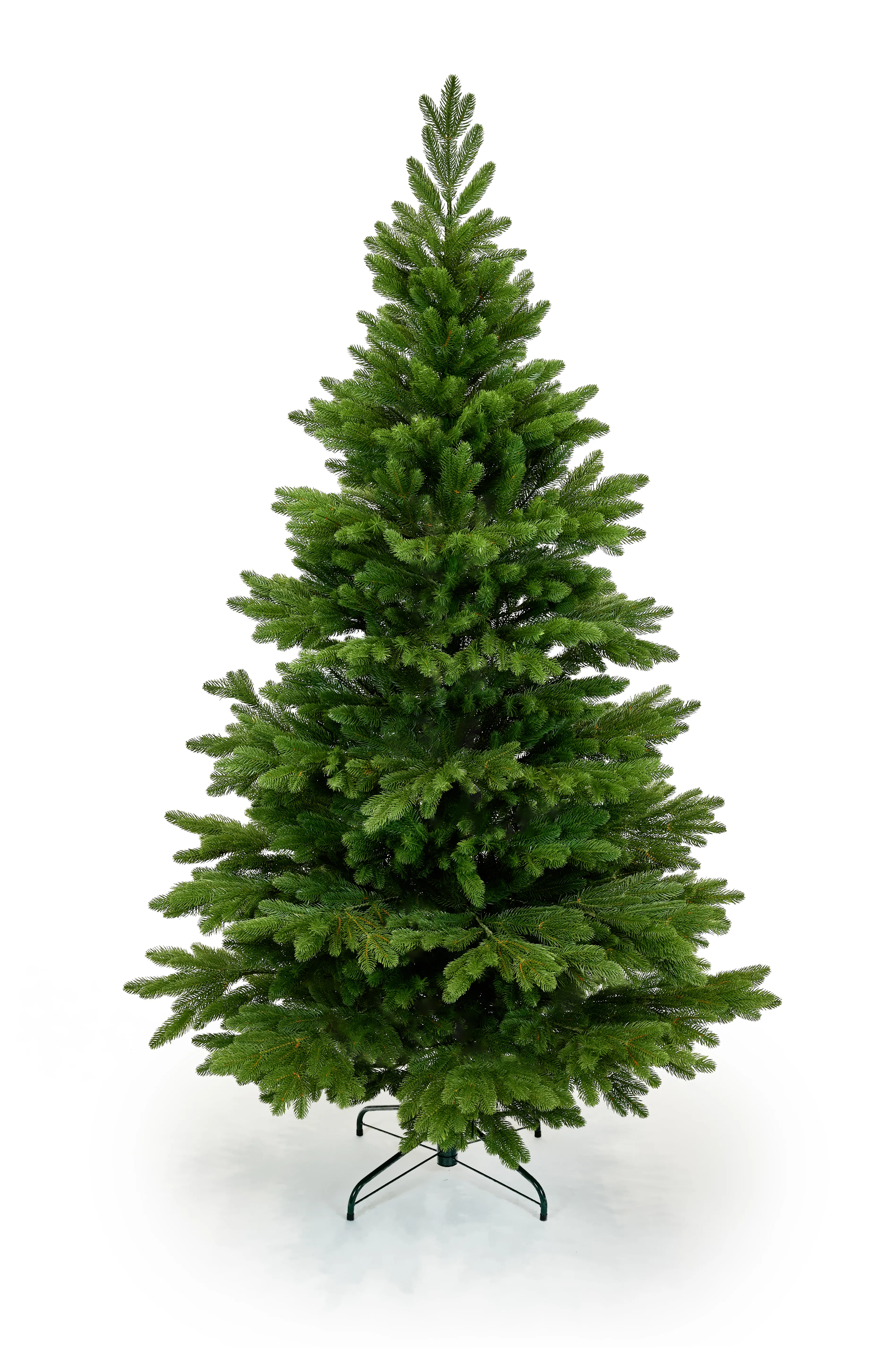 converted_image-3.webp