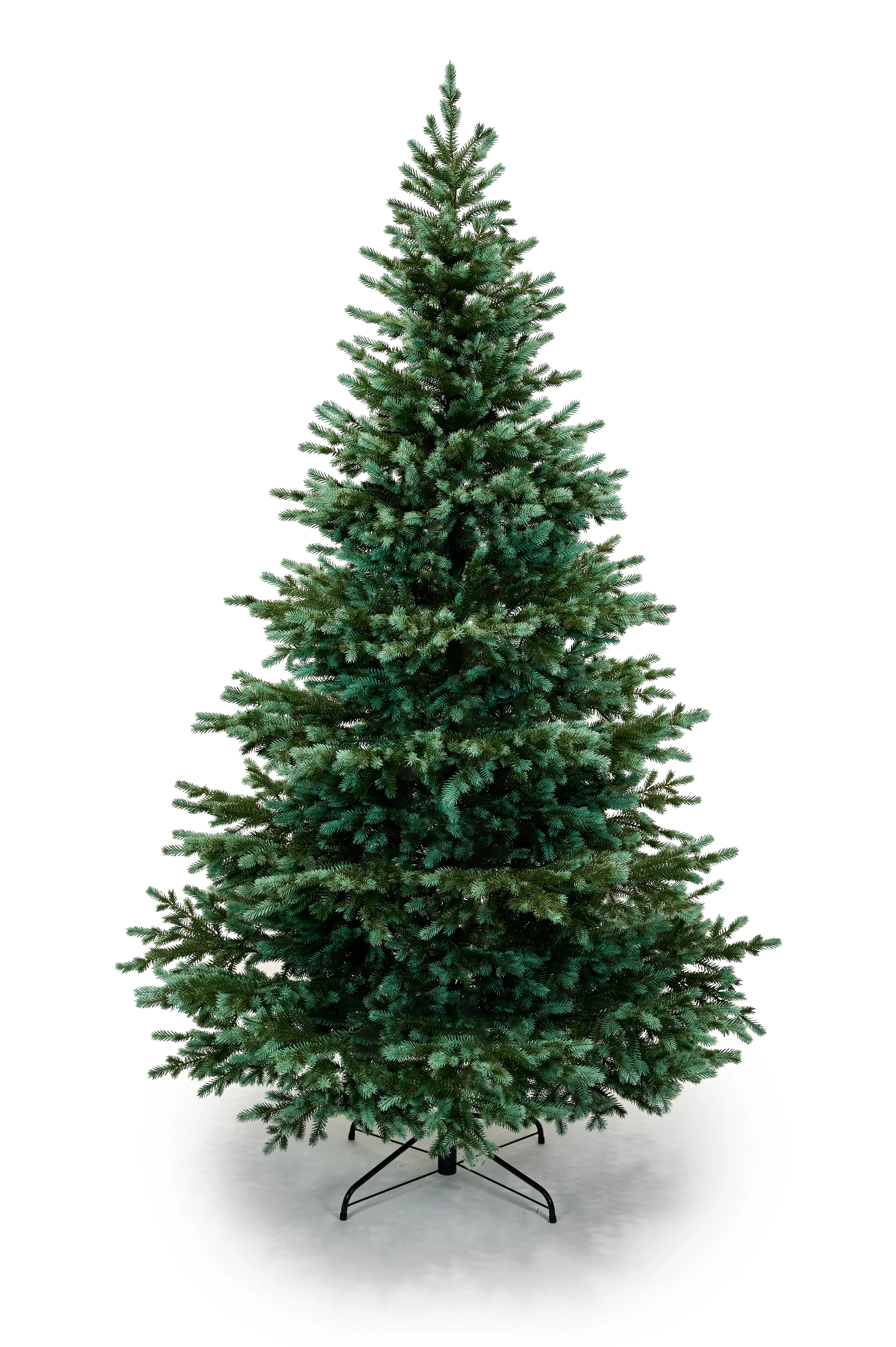 converted_image-5.webp