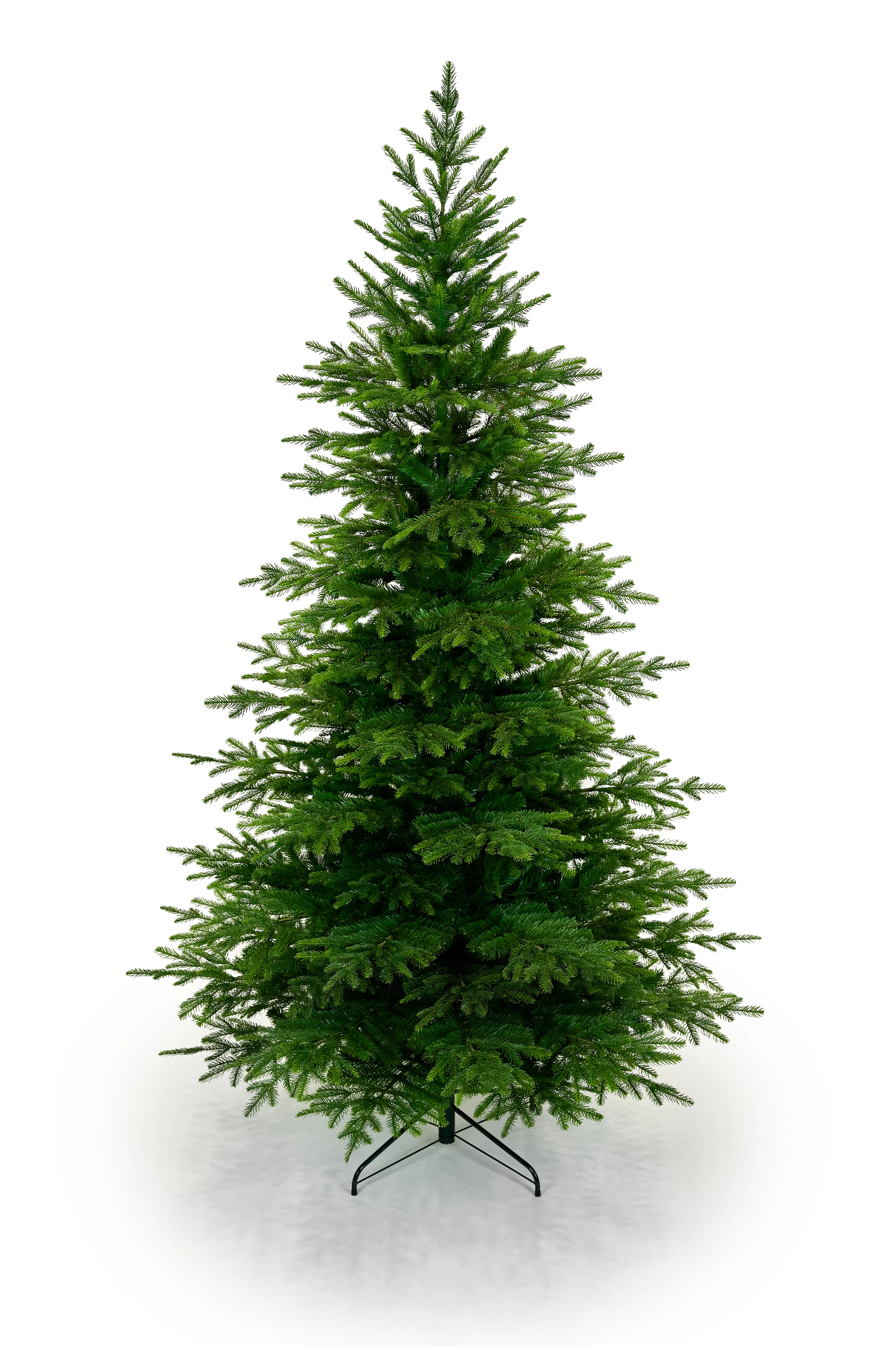 converted_image-6.webp
