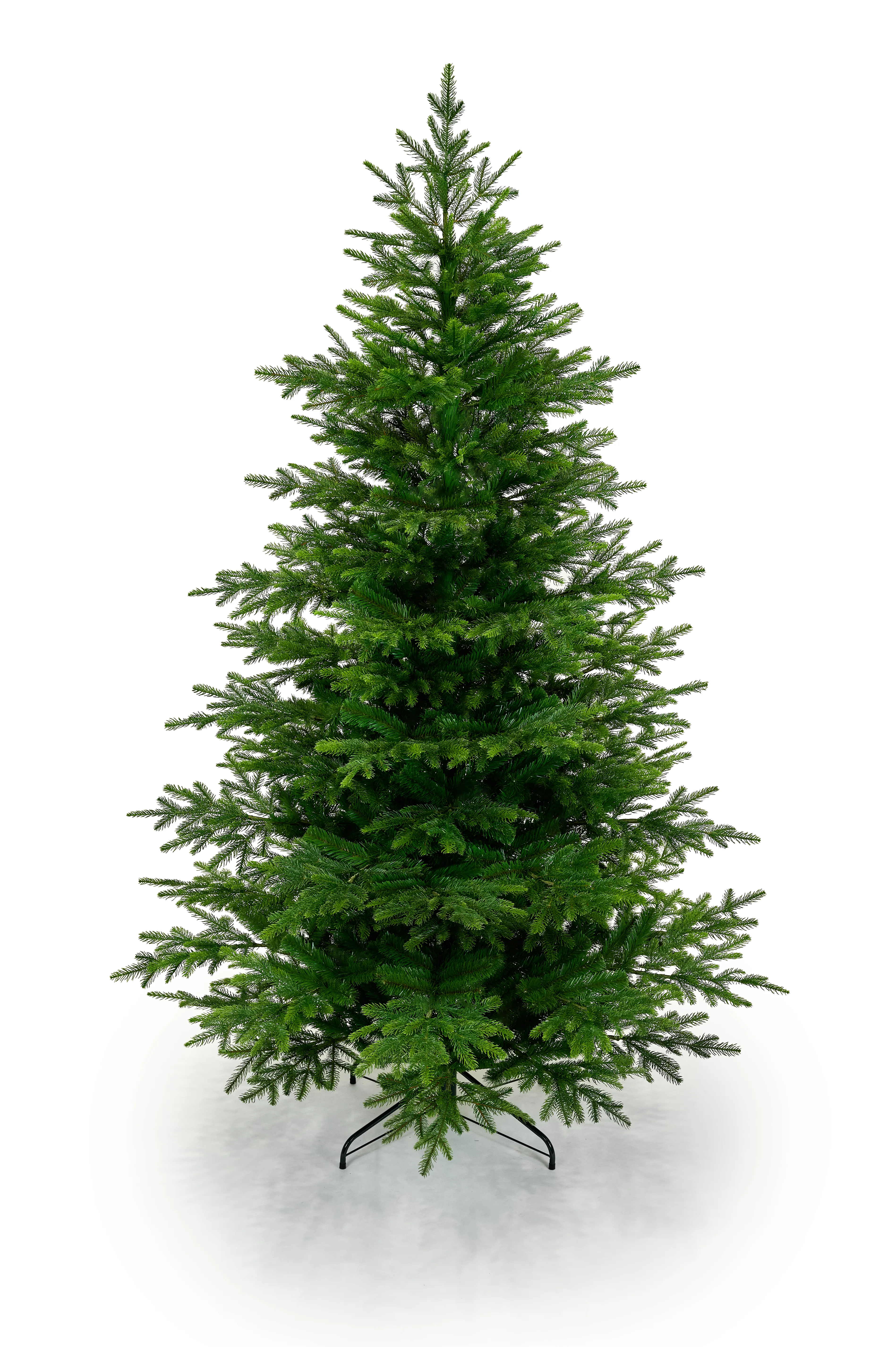 converted_image-7.webp