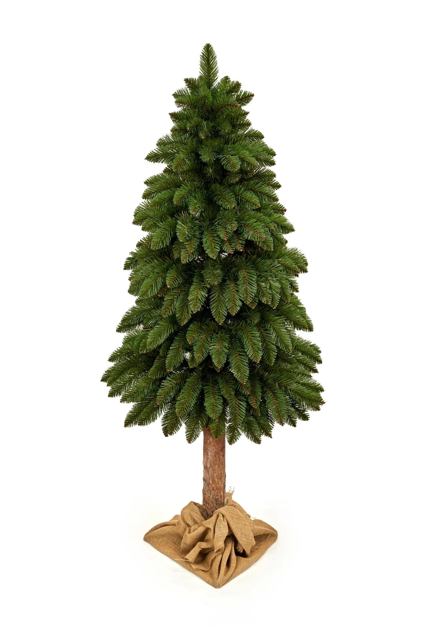 converted_image-8.webp