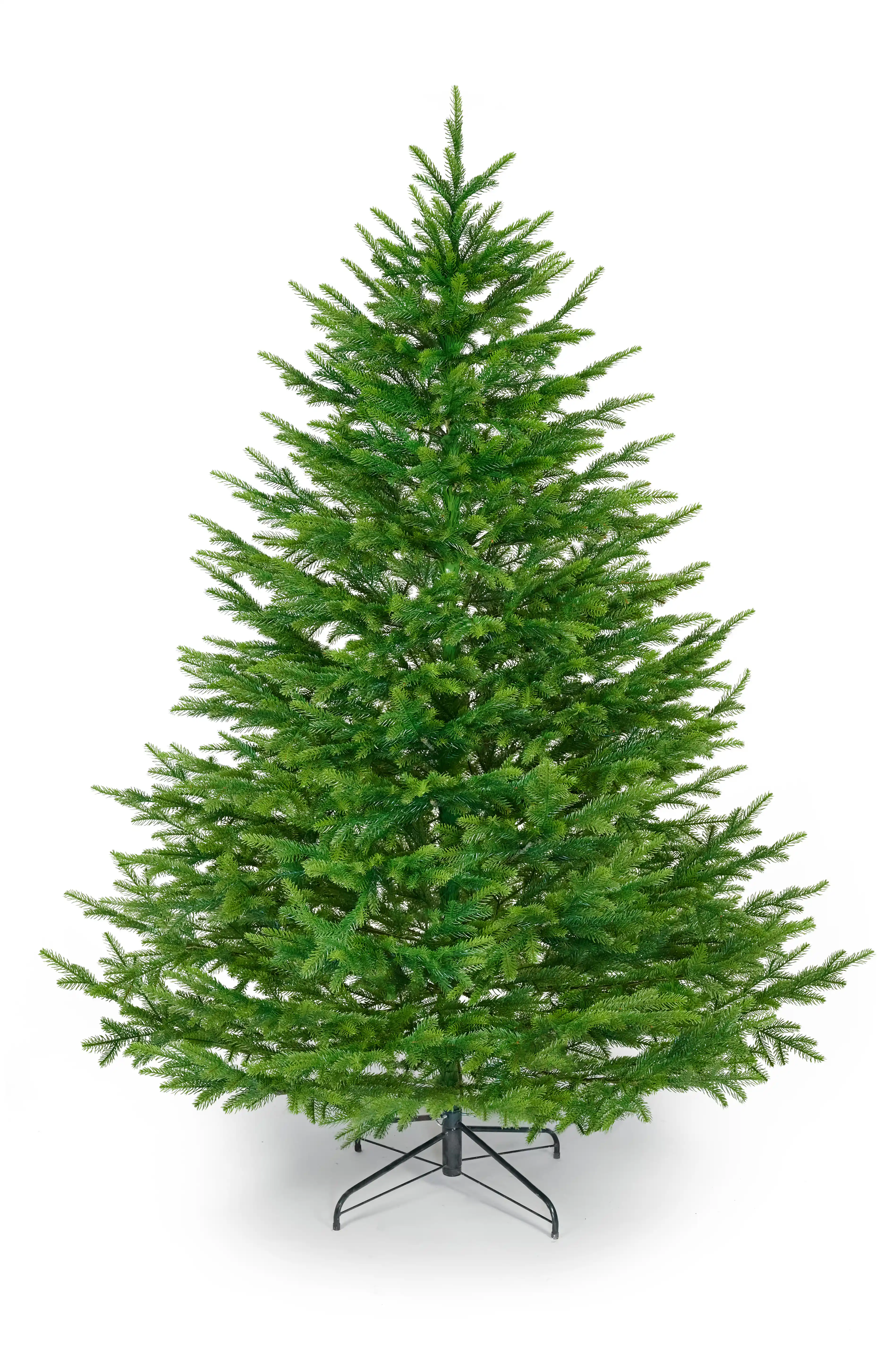 2120 Świerk Wenecki 2m.webp