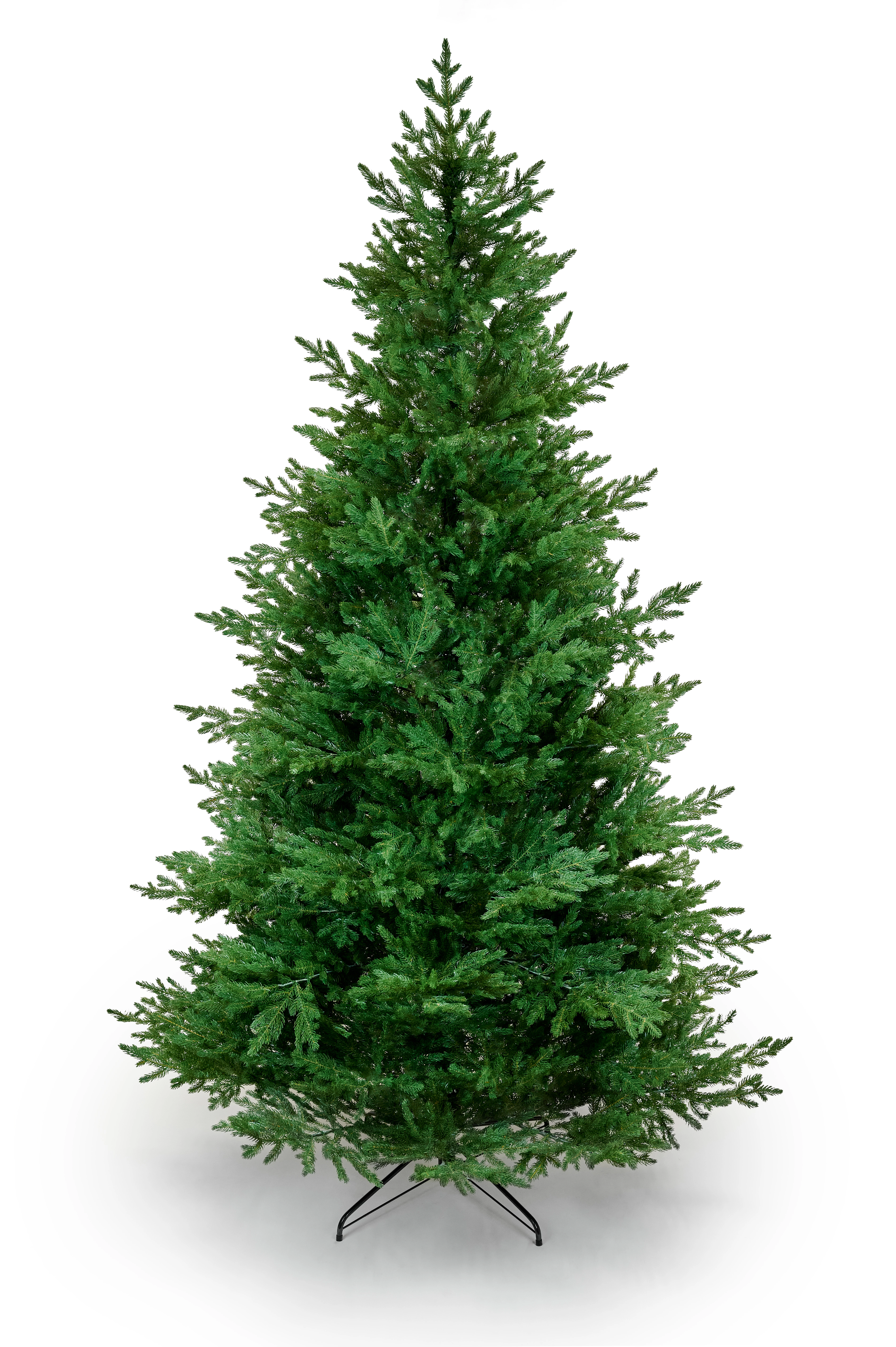 RYSY_2.5_DSC5556.webp