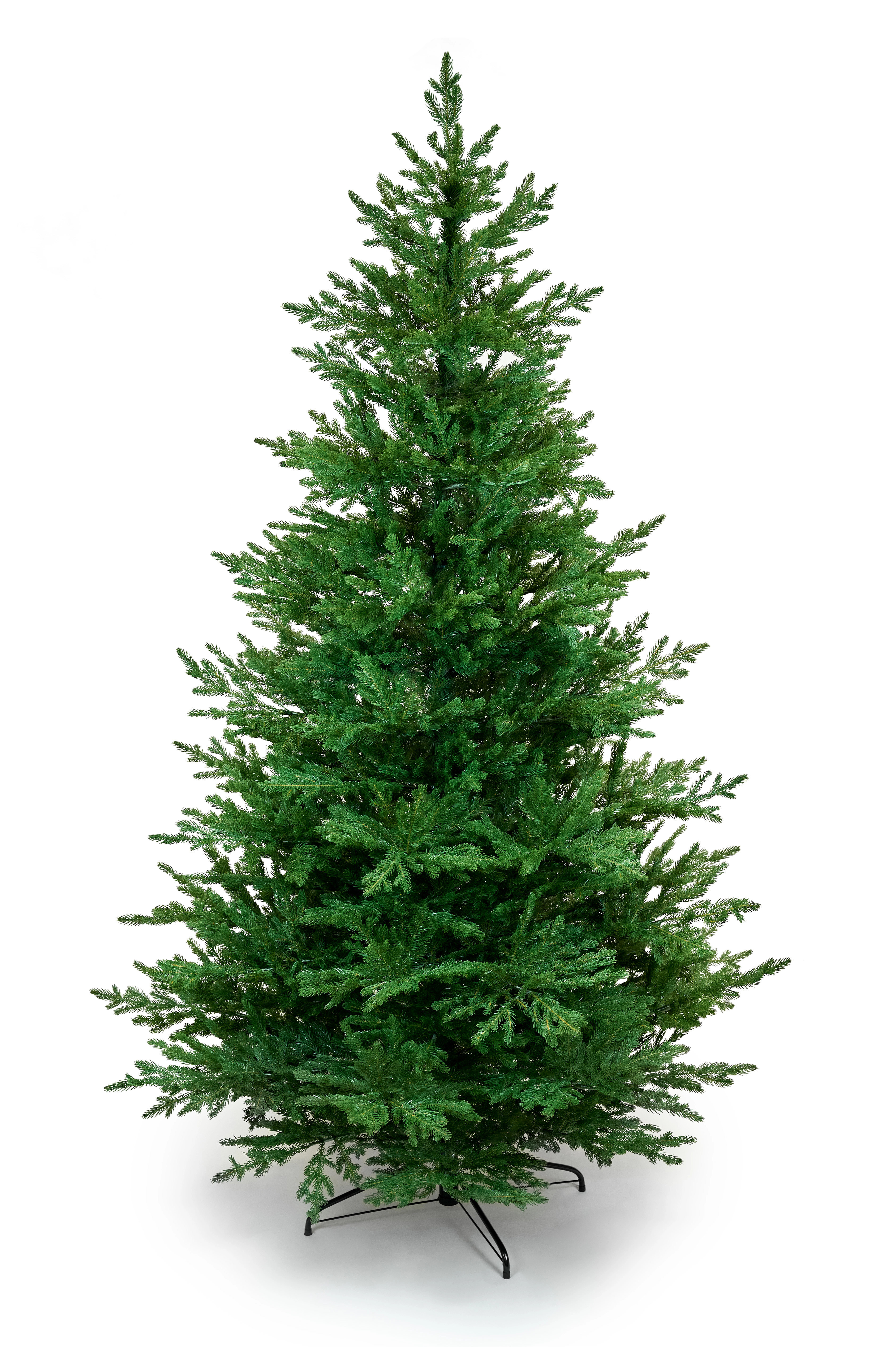 RYSY_2.2_DSC5566.webp