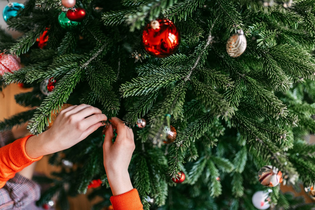 Jak konstrukcja pnia i gęstość igieł wpływają na wygląd choinki po kilku sezonach